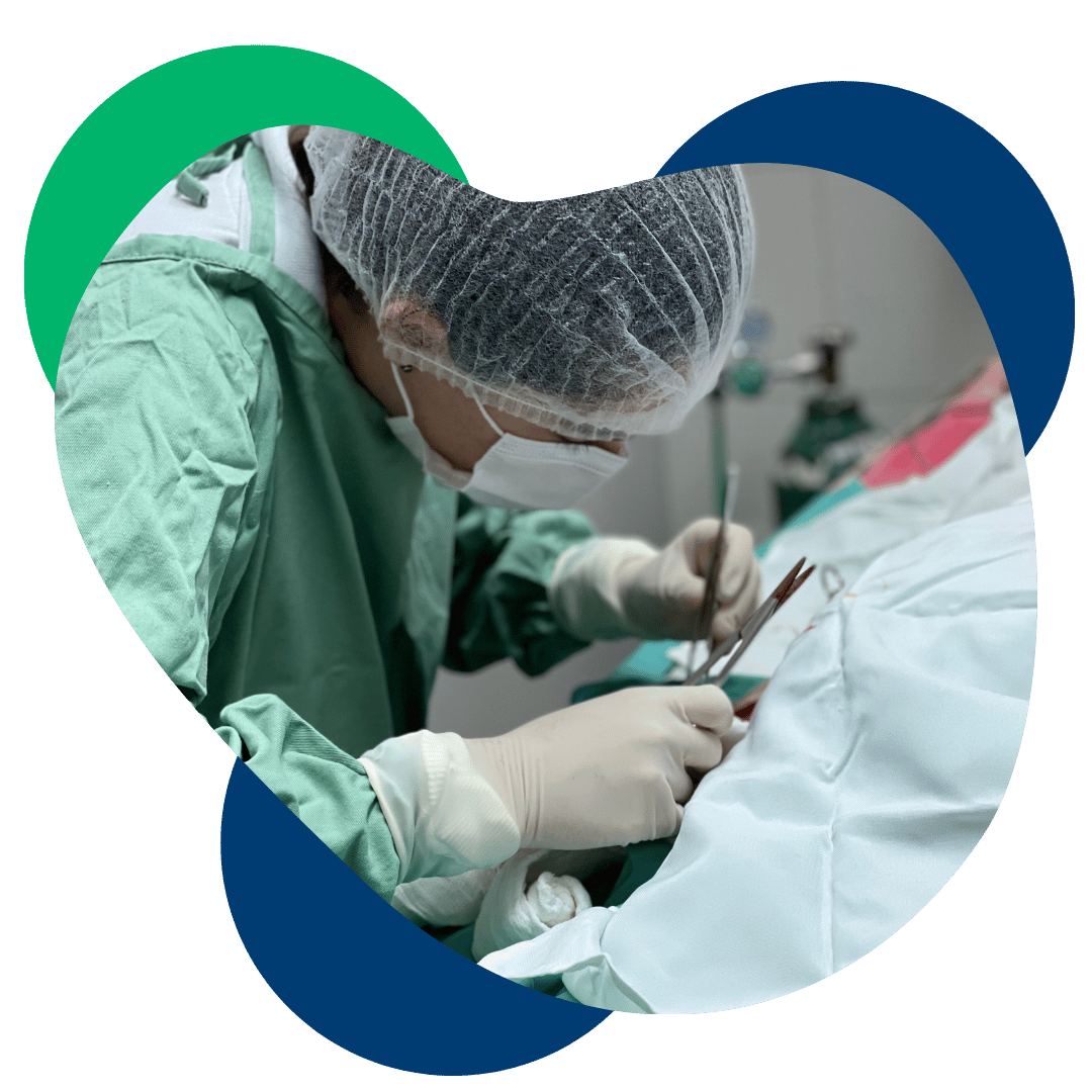 cirurgia veterinário 24h nova lima