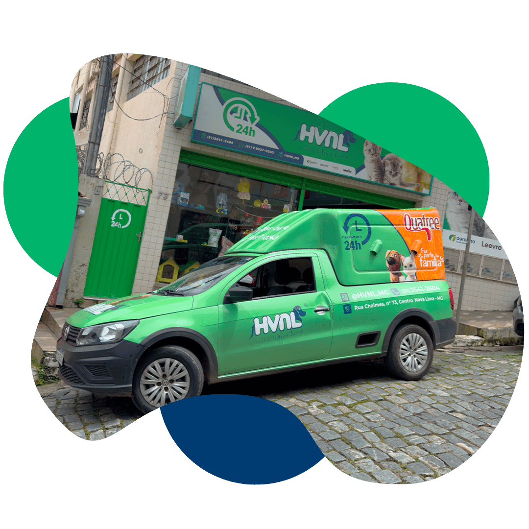 hospital veterinario nova lima saiba mais bh (1)