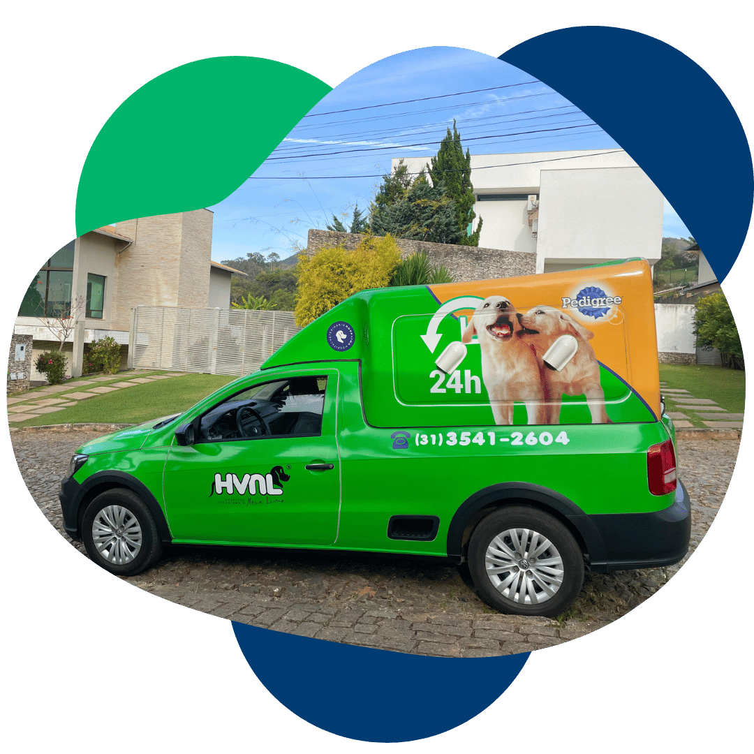 transporte veterinario pet shop nova lima