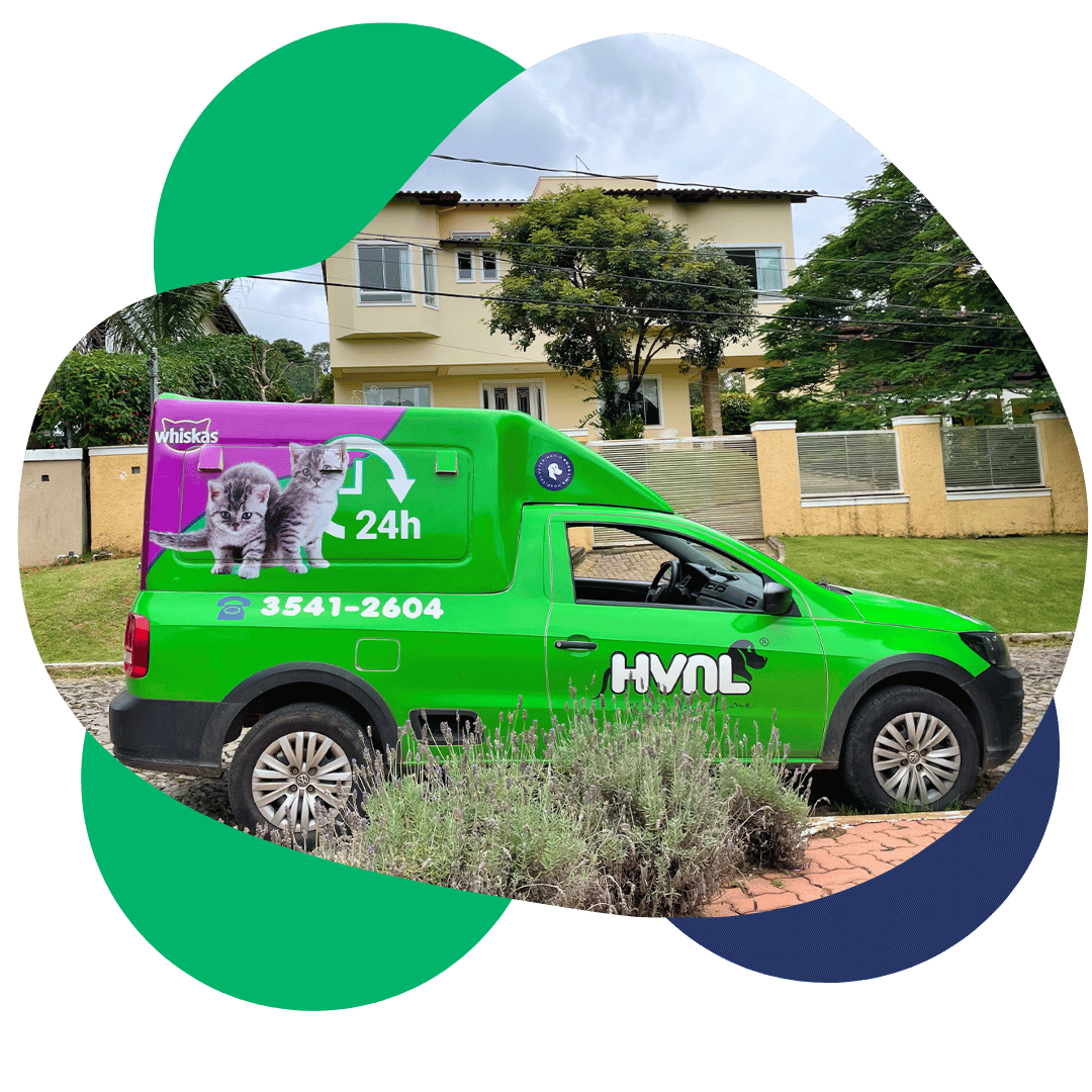 veterinário domicilar nova lima